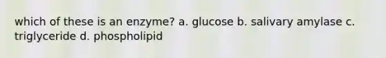 which of these is an enzyme? a. glucose b. salivary amylase c. triglyceride d. phospholipid