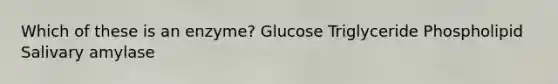 Which of these is an enzyme? Glucose Triglyceride Phospholipid Salivary amylase