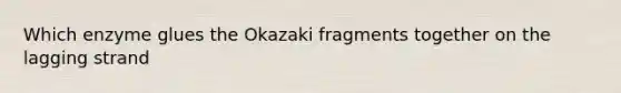 Which enzyme glues the Okazaki fragments together on the lagging strand