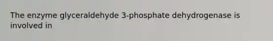 The enzyme glyceraldehyde 3-phosphate dehydrogenase is involved in