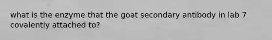 what is the enzyme that the goat secondary antibody in lab 7 covalently attached to?