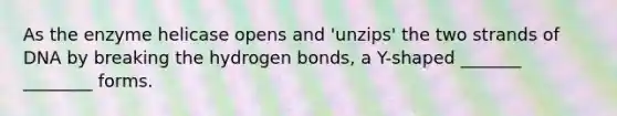 As the enzyme helicase opens and 'unzips' the two strands of DNA by breaking the hydrogen bonds, a Y-shaped _______ ________ forms.