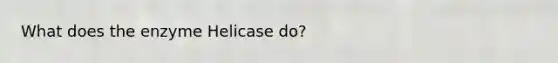 What does the enzyme Helicase do?