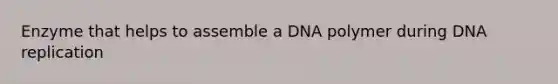 Enzyme that helps to assemble a DNA polymer during DNA replication