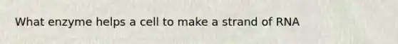 What enzyme helps a cell to make a strand of RNA