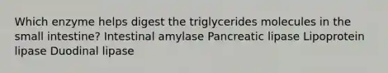 Which enzyme helps digest the triglycerides molecules in the small intestine? Intestinal amylase Pancreatic lipase Lipoprotein lipase Duodinal lipase