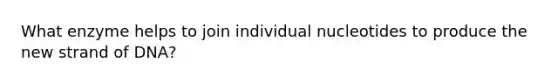 What enzyme helps to join individual nucleotides to produce the new strand of DNA?