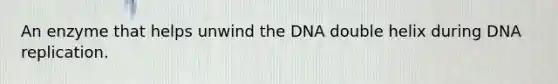 An enzyme that helps unwind the DNA double helix during DNA replication.