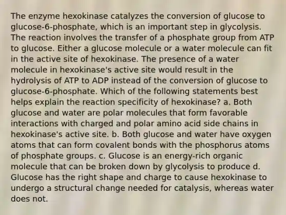 The enzyme hexokinase catalyzes the conversion of glucose to glucose-6-phosphate, which is an important step in glycolysis. The reaction involves the transfer of a phosphate group from ATP to glucose. Either a glucose molecule or a water molecule can fit in the active site of hexokinase. The presence of a water molecule in hexokinase's active site would result in the hydrolysis of ATP to ADP instead of the conversion of glucose to glucose-6-phosphate. Which of the following statements best helps explain the reaction specificity of hexokinase? a. Both glucose and water are polar molecules that form favorable interactions with charged and polar amino acid side chains in hexokinase's active site. b. Both glucose and water have oxygen atoms that can form covalent bonds with the phosphorus atoms of phosphate groups. c. Glucose is an energy-rich organic molecule that can be broken down by glycolysis to produce d. Glucose has the right shape and charge to cause hexokinase to undergo a structural change needed for catalysis, whereas water does not.