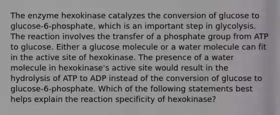 The enzyme hexokinase catalyzes the conversion of glucose to glucose-6-phosphate, which is an important step in glycolysis. The reaction involves the transfer of a phosphate group from ATP to glucose. Either a glucose molecule or a water molecule can fit in the active site of hexokinase. The presence of a water molecule in hexokinase's active site would result in the hydrolysis of ATP to ADP instead of the conversion of glucose to glucose-6-phosphate. Which of the following statements best helps explain the reaction specificity of hexokinase?