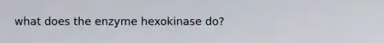what does the enzyme hexokinase do?