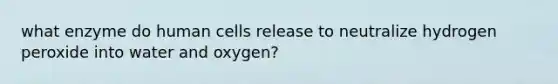 what enzyme do human cells release to neutralize hydrogen peroxide into water and oxygen?