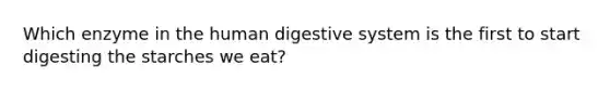 Which enzyme in the human digestive system is the first to start digesting the starches we eat?