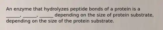 An enzyme that hydrolyzes peptide bonds of a protein is a ______, ______, ______ depending on the size of protein substrate, depending on the size of the protein substrate.