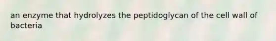 an enzyme that hydrolyzes the peptidoglycan of the cell wall of bacteria