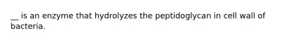 __ is an enzyme that hydrolyzes the peptidoglycan in cell wall of bacteria.