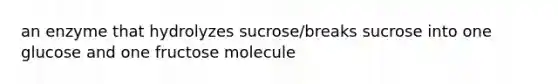 an enzyme that hydrolyzes sucrose/breaks sucrose into one glucose and one fructose molecule