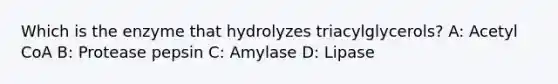 Which is the enzyme that hydrolyzes triacylglycerols? A: Acetyl CoA B: Protease pepsin C: Amylase D: Lipase