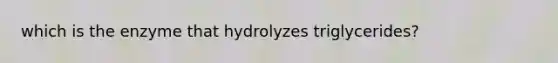 which is the enzyme that hydrolyzes triglycerides?