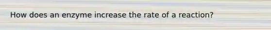 How does an enzyme increase the rate of a reaction?