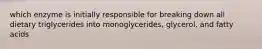 which enzyme is initially responsible for breaking down all dietary triglycerides into monoglycerides, glycerol, and fatty acids