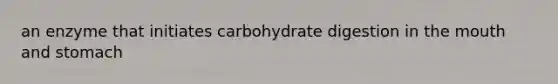 an enzyme that initiates carbohydrate digestion in the mouth and stomach