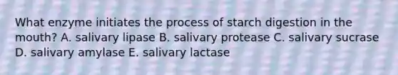 What enzyme initiates the process of starch digestion in the mouth? A. salivary lipase B. salivary protease C. salivary sucrase D. salivary amylase E. salivary lactase