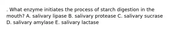 . What enzyme initiates the process of starch digestion in <a href='https://www.questionai.com/knowledge/krBoWYDU6j-the-mouth' class='anchor-knowledge'>the mouth</a>? A. salivary lipase B. salivary protease C. salivary sucrase D. salivary amylase E. salivary lactase