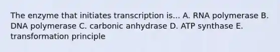 The enzyme that initiates transcription is... A. RNA polymerase B. DNA polymerase C. carbonic anhydrase D. ATP synthase E. transformation principle