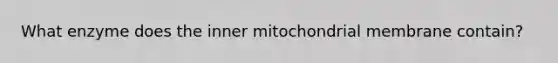 What enzyme does the inner mitochondrial membrane contain?