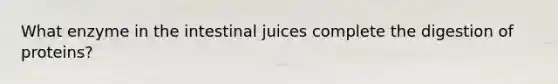 What enzyme in the intestinal juices complete the digestion of proteins?