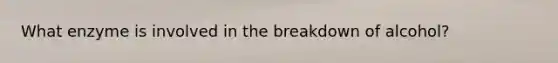 What enzyme is involved in the breakdown of alcohol?