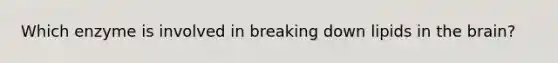 Which enzyme is involved in breaking down lipids in the brain?