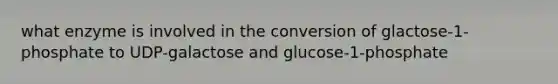 what enzyme is involved in the conversion of glactose-1-phosphate to UDP-galactose and glucose-1-phosphate