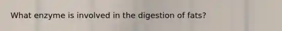 What enzyme is involved in the digestion of fats?