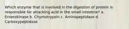 Which enzyme that is involved in the digestion of protein is responsible for attacking acid in the small intestine? a. Enterokinase b. Chymotrypsin c. Aminopeptidase d. Carboxypeptidase