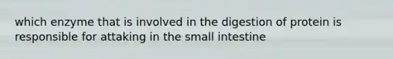 which enzyme that is involved in the digestion of protein is responsible for attaking in <a href='https://www.questionai.com/knowledge/kt623fh5xn-the-small-intestine' class='anchor-knowledge'>the small intestine</a>