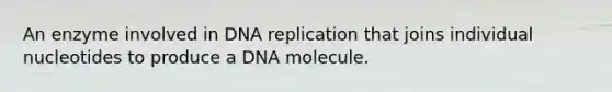 An enzyme involved in DNA replication that joins individual nucleotides to produce a DNA molecule.