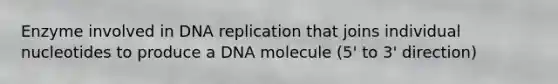 Enzyme involved in DNA replication that joins individual nucleotides to produce a DNA molecule (5' to 3' direction)