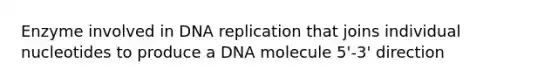 Enzyme involved in DNA replication that joins individual nucleotides to produce a DNA molecule 5'-3' direction