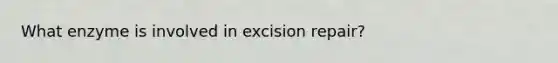 What enzyme is involved in excision repair?