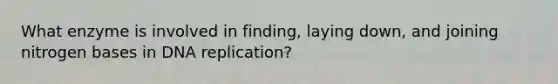 What enzyme is involved in finding, laying down, and joining nitrogen bases in DNA replication?