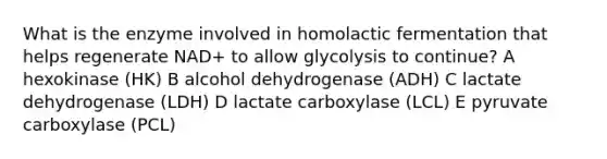 What is the enzyme involved in homolactic fermentation that helps regenerate NAD+ to allow glycolysis to continue? A hexokinase (HK) B alcohol dehydrogenase (ADH) C lactate dehydrogenase (LDH) D lactate carboxylase (LCL) E pyruvate carboxylase (PCL)