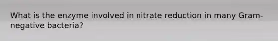 What is the enzyme involved in nitrate reduction in many Gram-negative bacteria?