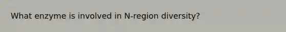 What enzyme is involved in N-region diversity?