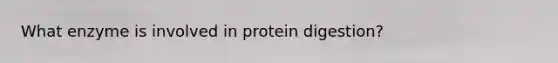 What enzyme is involved in protein digestion?