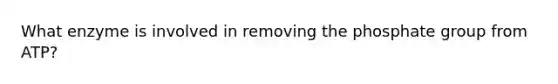 What enzyme is involved in removing the phosphate group from ATP?