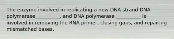 The enzyme involved in replicating a new DNA strand DNA polymerase__________, and DNA polymerase __________ is involved in removing the RNA primer, closing gaps, and repairing mismatched bases.