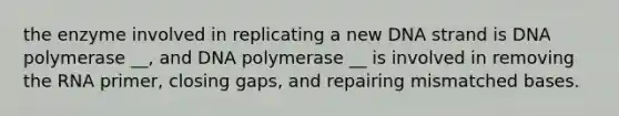 the enzyme involved in replicating a new DNA strand is DNA polymerase __, and DNA polymerase __ is involved in removing the RNA primer, closing gaps, and repairing mismatched bases.