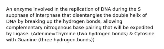 An enzyme involved in the replication of DNA during the S subphase of interphase that disentangles the double helix of DNA by breaking up the <a href='https://www.questionai.com/knowledge/kZ0eOQzIqC-hydrogen-bonds' class='anchor-knowledge'>hydrogen bonds</a>, allowing complementary nitrogenous base pairing that will be expedited by Ligase. (Adenine=Thymine (two hydrogen bonds) & Cytosine with Guanine (three hydrogen bonds))